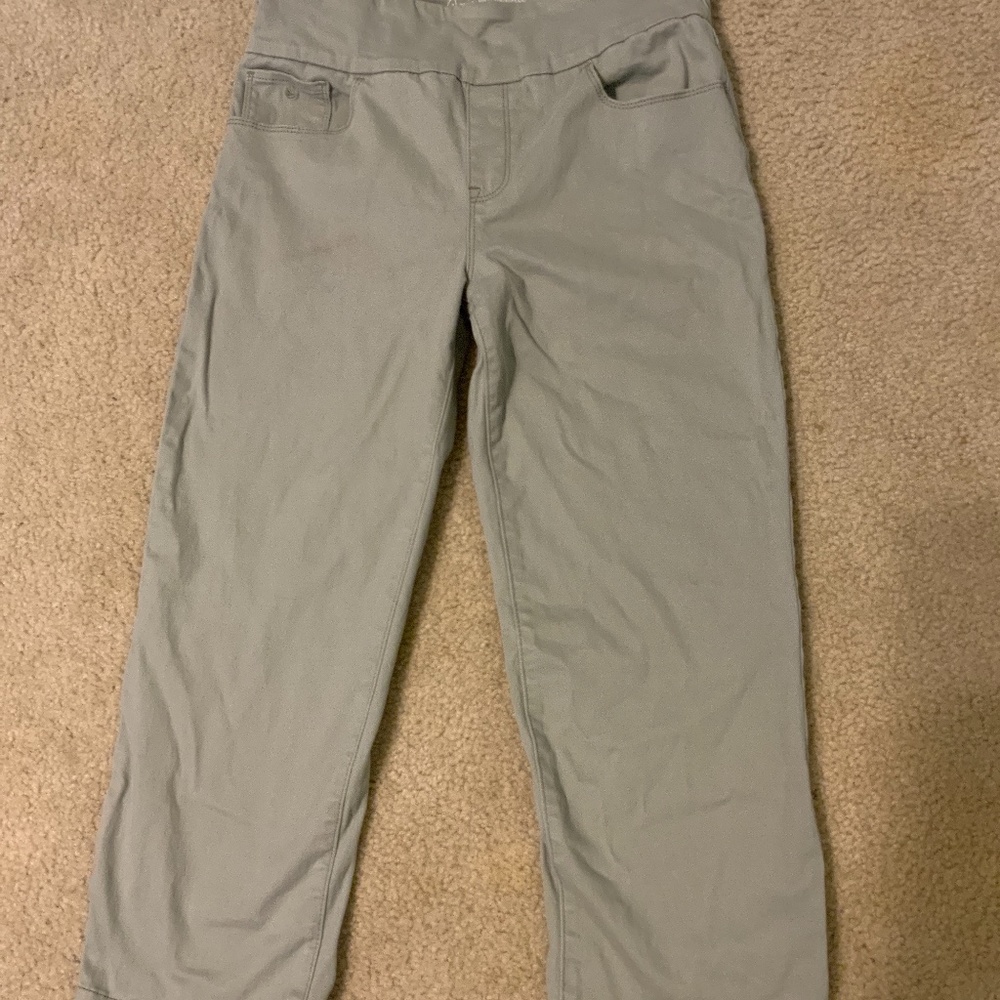 Gloria Vanderbilt Amanda Jeans petite